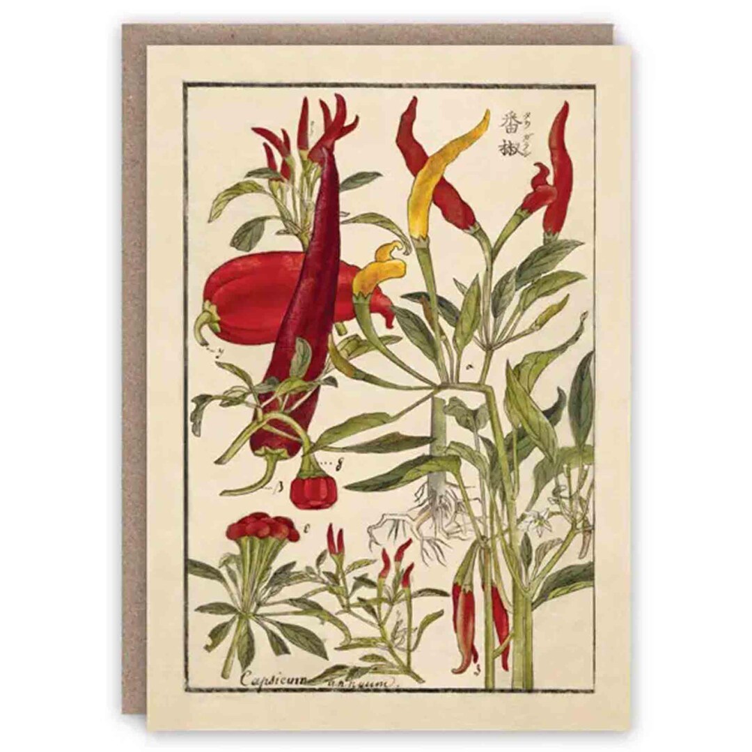 Greeting Card Chilli Peppers - Etsy