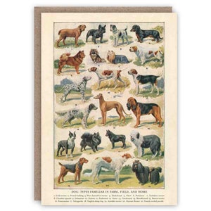 Greeting Card Dog Breeds