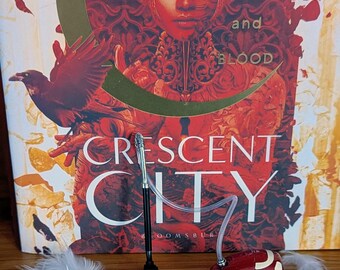 Crescent City Merch - Bookshelf mini Vacuum Hoover - CC1 - Bryce - Booktok gifts