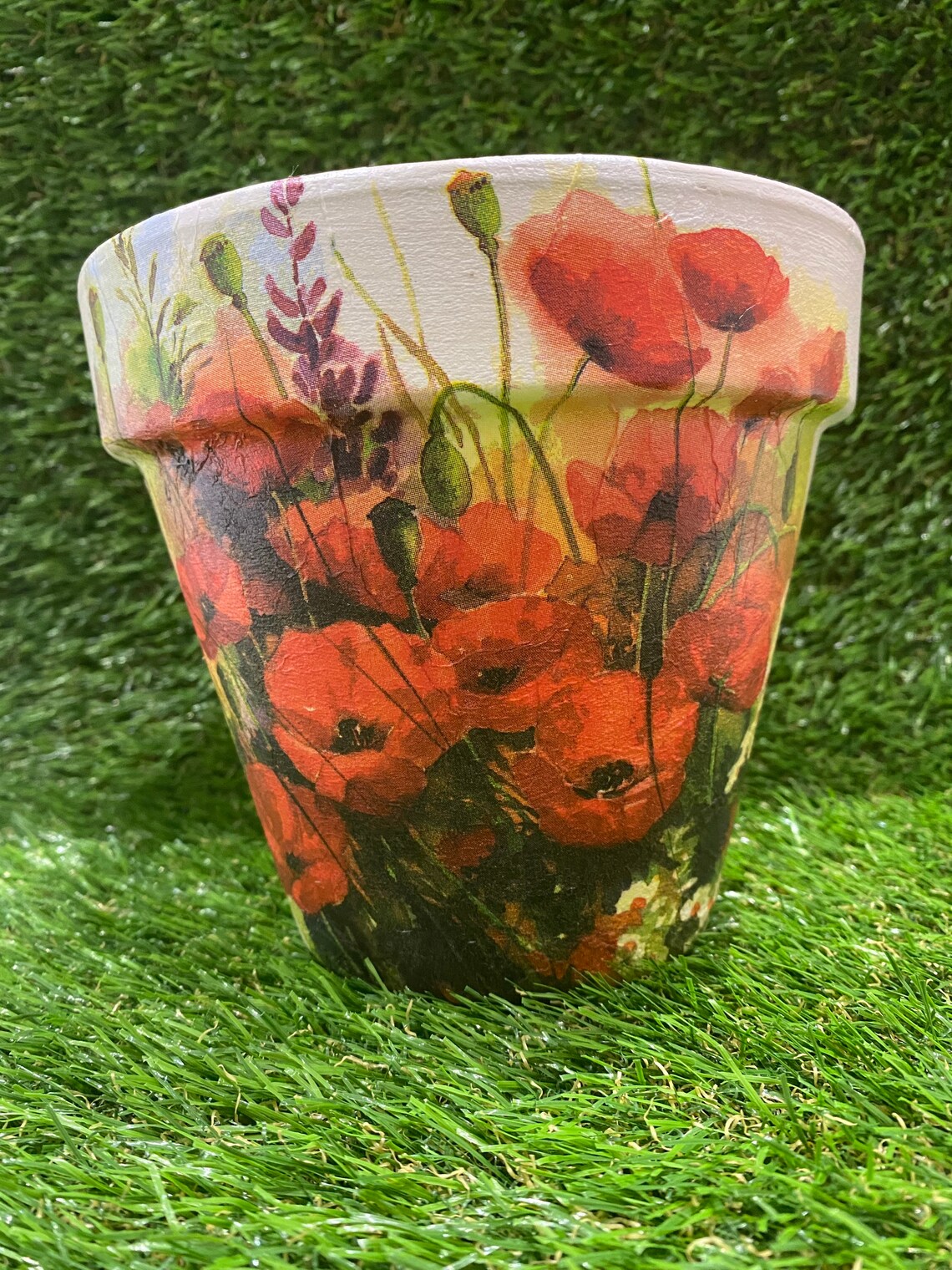 Poppy plant pot wild poppy flowers plant pot poppy gift Etsy