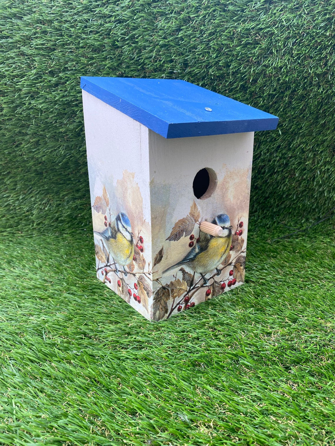 Blue tit bird house bird box