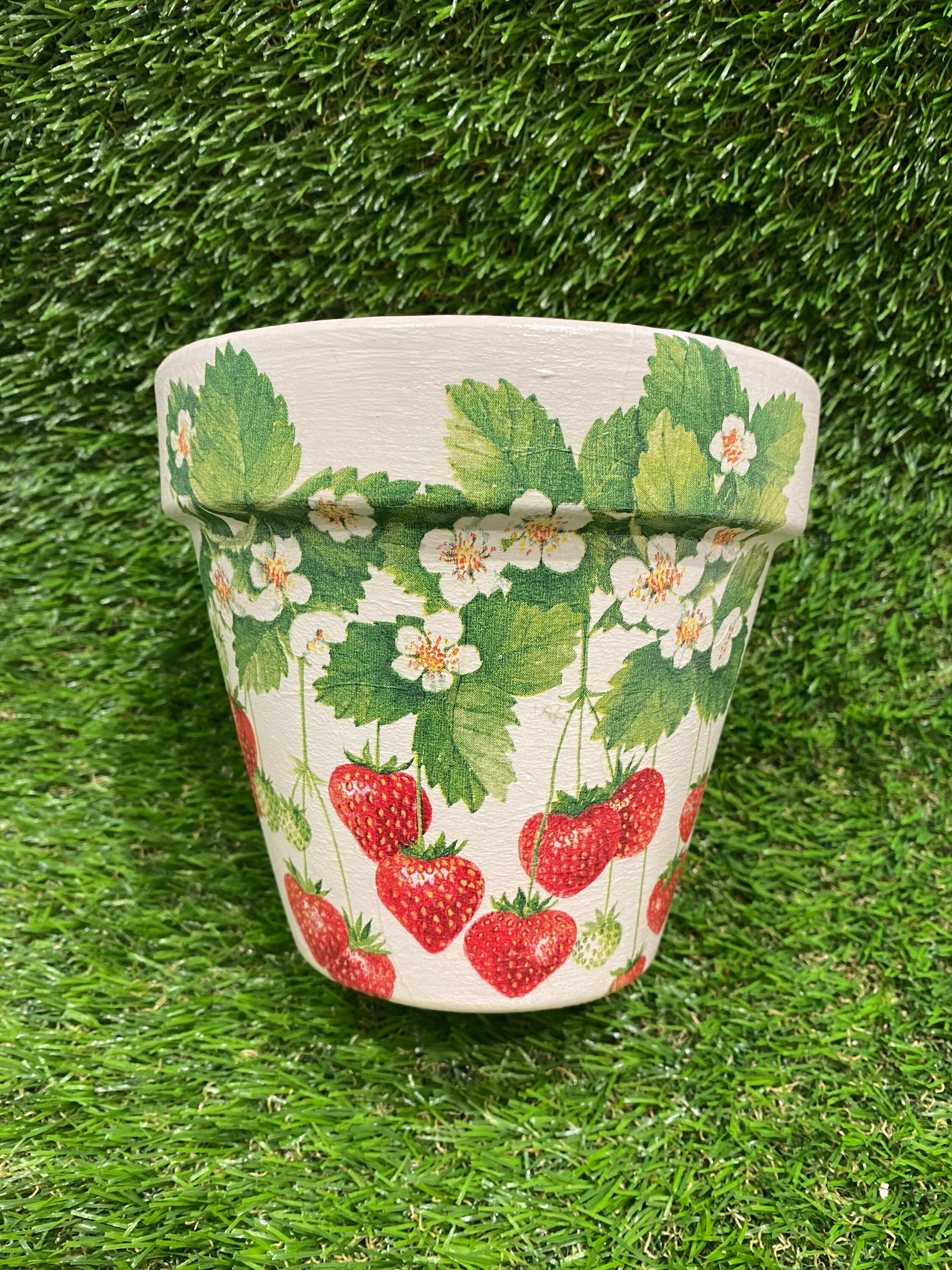 Strawberry Plant Pot Strawberry Planter Strawberry Plant Etsy UK