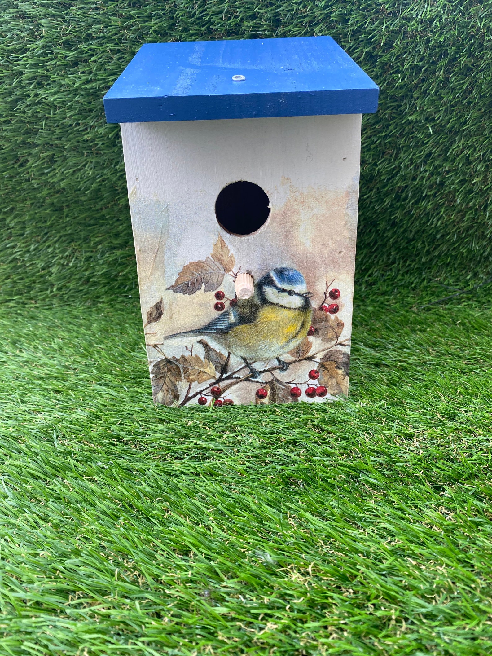 Blue tit bird house bird box