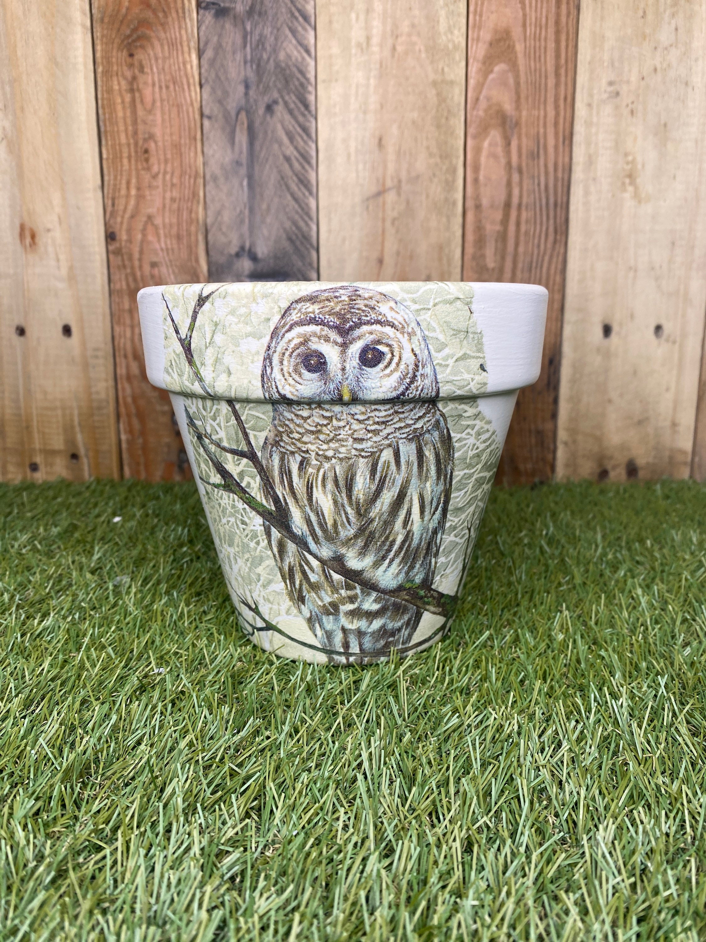 Decoupaged Owl Plant Pot Owl Gift Owl Flower Pot Terracotta Etsy UK