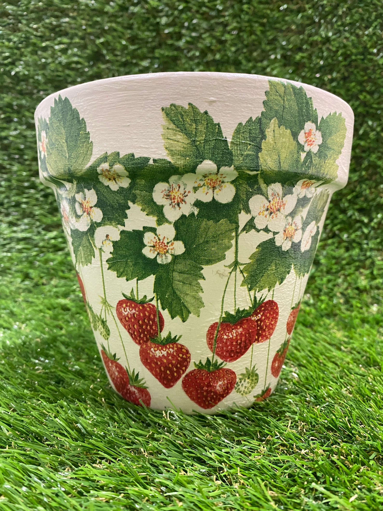 Strawberry plant pot strawberry planter strawberry plant Etsy