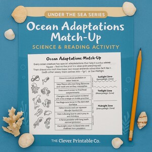 May include: A blue educational poster titled "Ocean Adaptations Match-Up" with illustrations of sea creatures and text describing their adaptations. A pencil and seashells are placed around the poster.