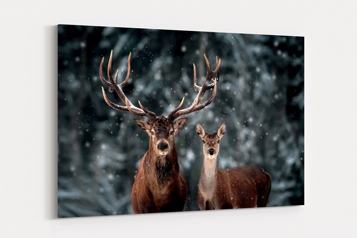 Deer Wall Art Canvas / Deer Wall Art & Animal Wall Art Canvas Etsy