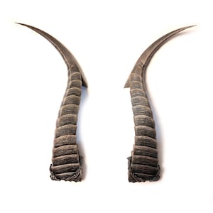 Ruin Curved Horns Hand Painted Cosplay replica Baldur&#39;s Gate 3 Devil Horn