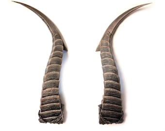 Ruin Curved Horns Hand Painted Cosplay replica Baldur's Gate 3 Devil Horn