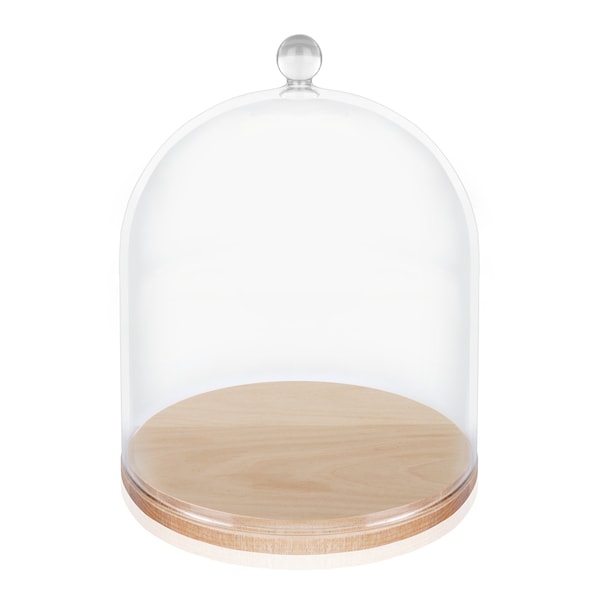 Glass Cloche Bell Jar, Extra Large - Birch wood Base