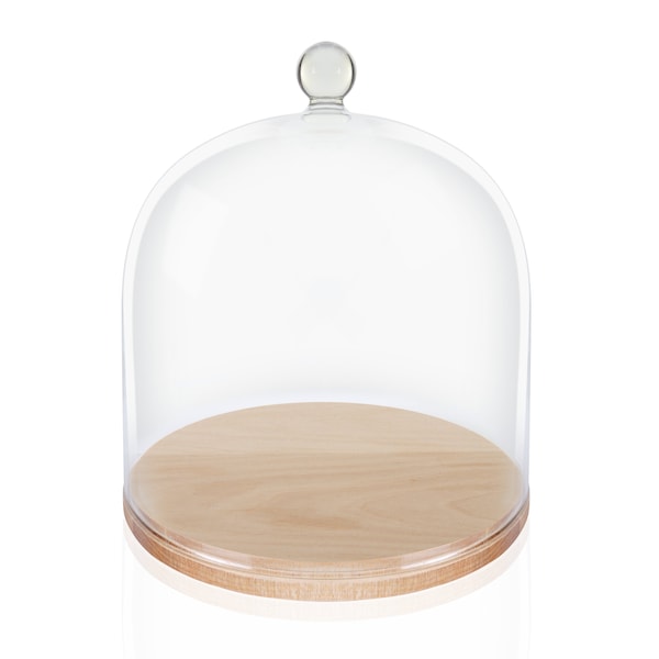 Glass Cloche Bell Jar, Large - Birch wood Base