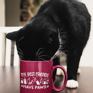 May include: A burgundy ceramic mug with a white design that says "My best friends have paws" and features paw prints and hearts. A black and white cat is drinking from the mug.