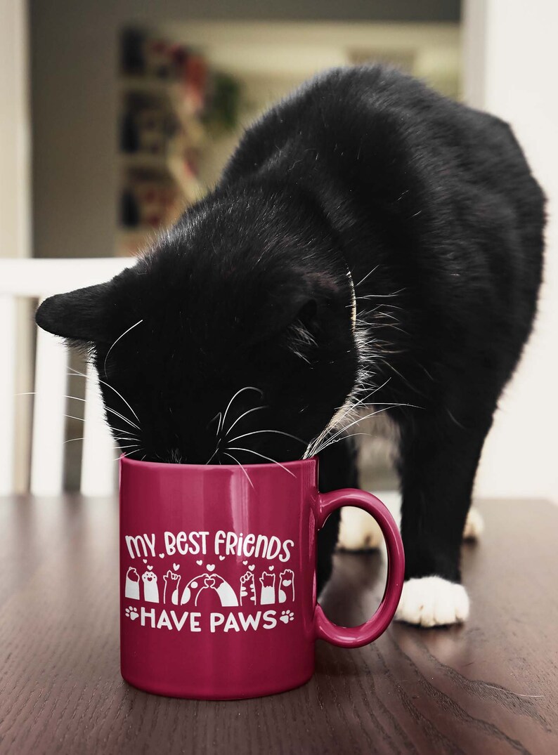 May include: A burgundy ceramic mug with a white design that says "My best friends have paws" and features paw prints and hearts. A black and white cat is drinking from the mug.