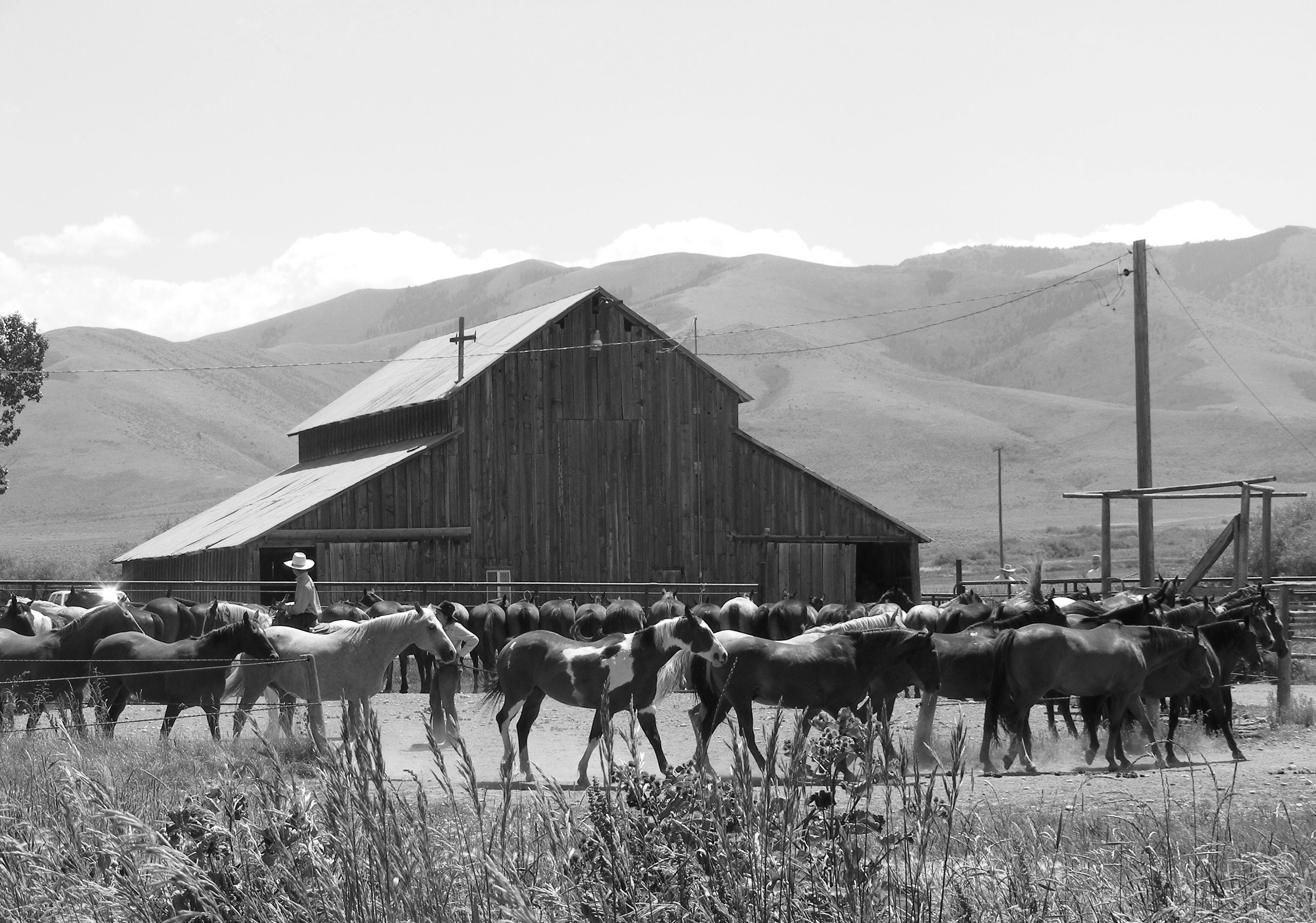 Cowboys Western Old Barn, Buckaroos, Ranch Life, Digital Download - Etsy
