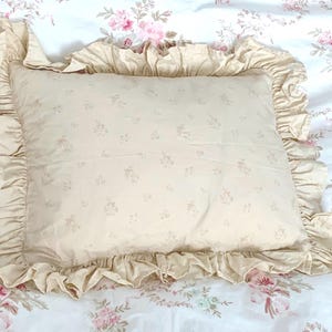 Vintage Rachel Ashwell Shabby Chic Home~ Petite Bouquet Tea Stain~ Boudoir Pillow Cover w/Down Insert