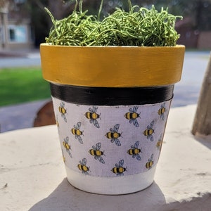 Hand Painted Terracotta Planter: Bumble Bee Design, 4-Inch Pot
