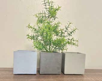 Square Concrete Planter