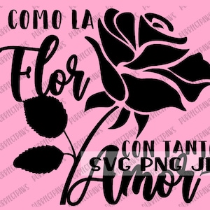 Como La Flor Con Tanto Amor SVG, Spanish, Rose, Digital Image, Instant Download svg png jpg