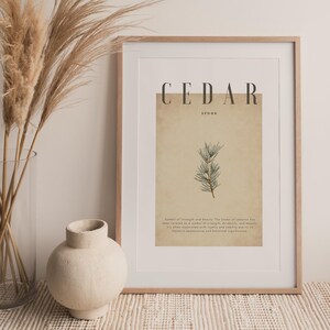 May include: A framed print with the word "CEDAR" in a bold font. The print features a botanical illustration of cedar branches and text. A vase with pampas grass and a cream-colored vase are in the foreground.
