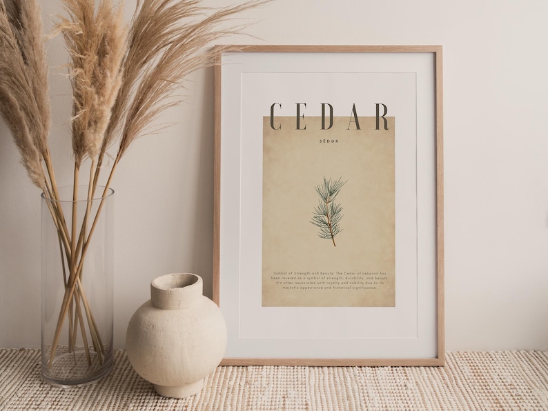 May include: A framed print with the word "CEDAR" in a bold font. The print features a botanical illustration of cedar branches and text. A vase with pampas grass and a cream-colored vase are in the foreground.