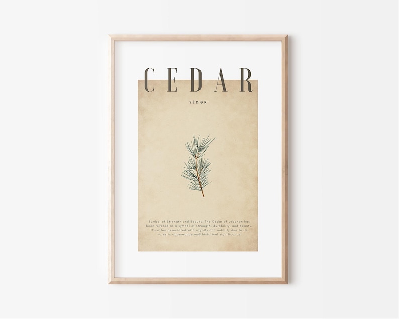 May include: Framed botanical print featuring the word "CEDAR" in a serif font above an illustration of cedar branches. The print has a vintage aesthetic with a beige background and a light wood frame. Text at the bottom describes the cedar's symbolism.