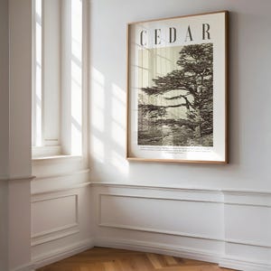 Op de afbeelding: Een ingelijste kunstdruk met het woord "CEDAR" bovenaan. De print toont een zwart-wit illustratie van een cederboom. De lijst is lichtbruin van kleur en hangt aan een witte muur.
