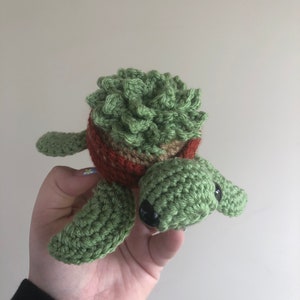 Crochet succulent turtle