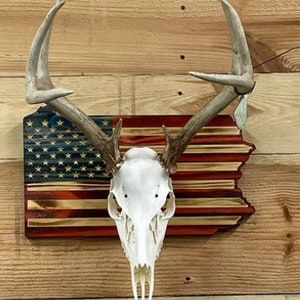 Pennsylvania European Deer Mount Plaque - Personalized - Any State