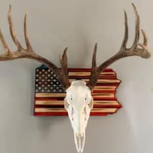 Pennsylvania European Deer Mount Plaque - Personalized - Any State