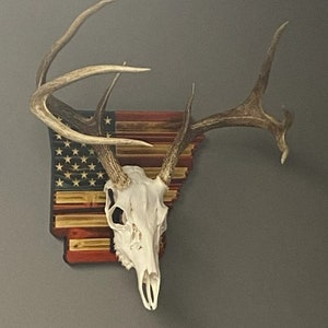 Arkansas European Deer Mount Plaque - Personalized - Any State