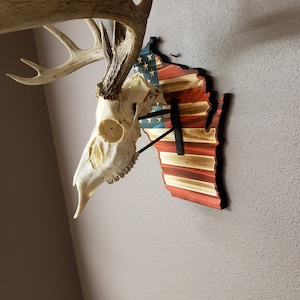 Wisconsin European Deer Mount Plaque - Personalized - Any State