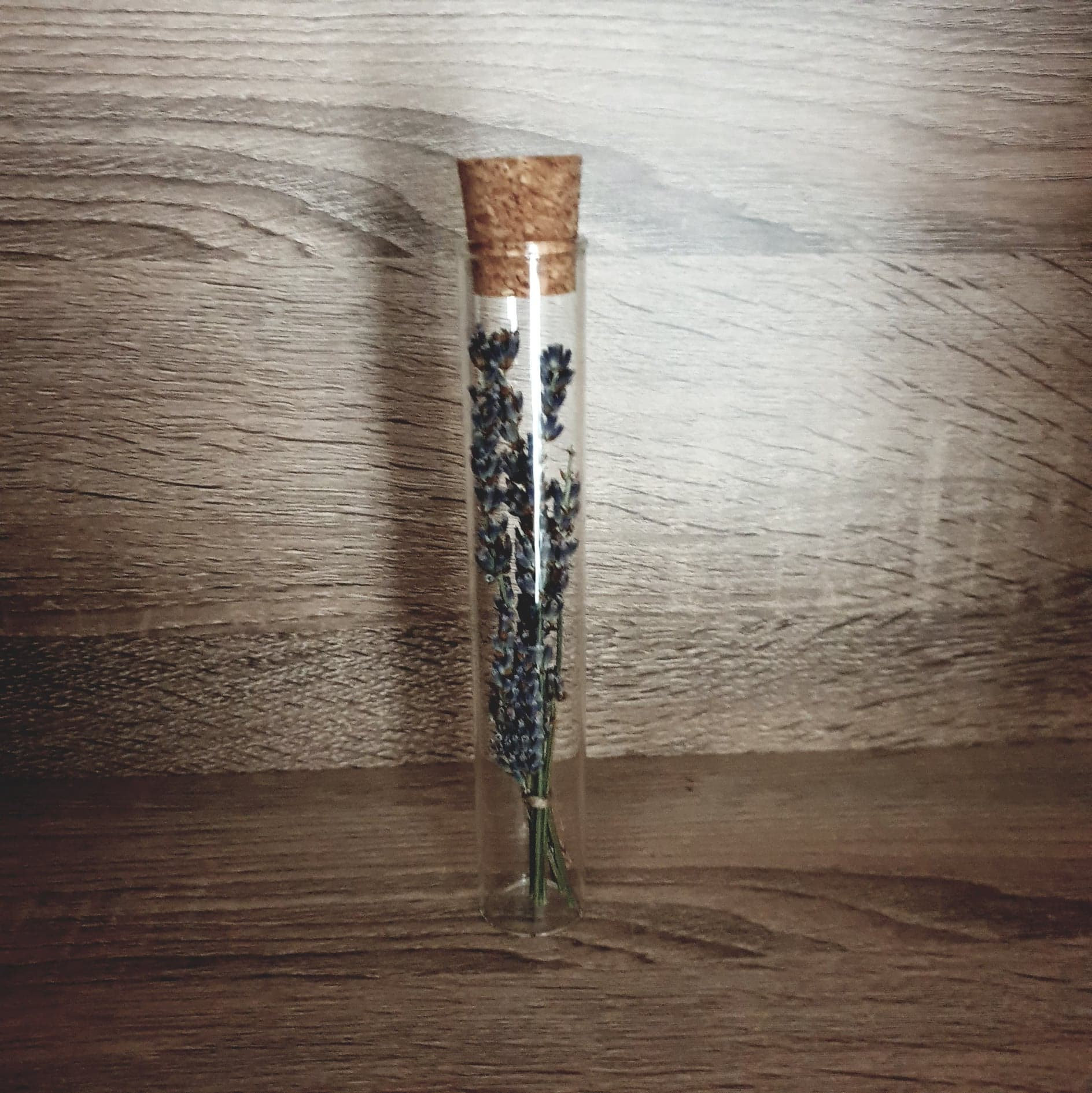 Fiole Lavande Séchée