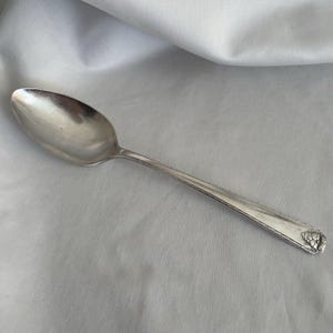 May include: A silver-toned metal spoon featuring a smooth, oval-shaped bowl and a slender handle. The handle is decorated with a textured border and a small, embossed cluster of grapes at the very end of the stem, providing a detailed finish.
