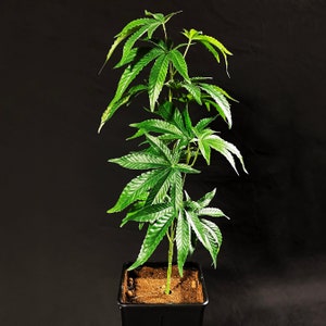 SugaModula 70cm/28inch Artificial Marijuana Faux Cannabis Hemp Replica Plant Single Branch