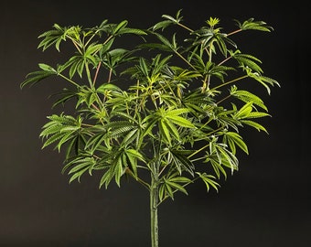 SugaLush 95cm/37inch Artificial Marijuana Faux Cannabis Hemp Replica Plant in Pot