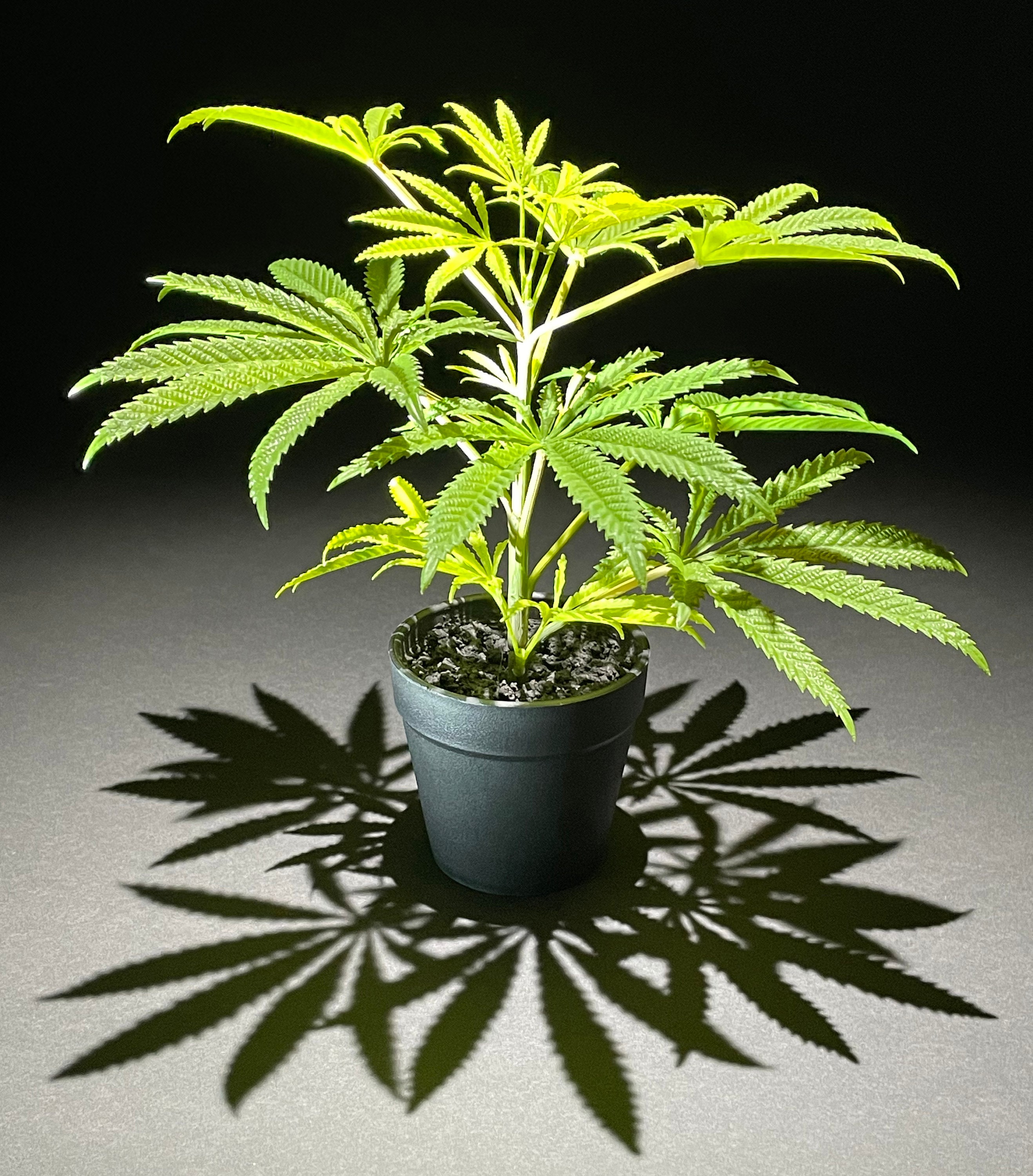 25cm Artificial Marijuana Faux Cannabis Hemp Replica Plant