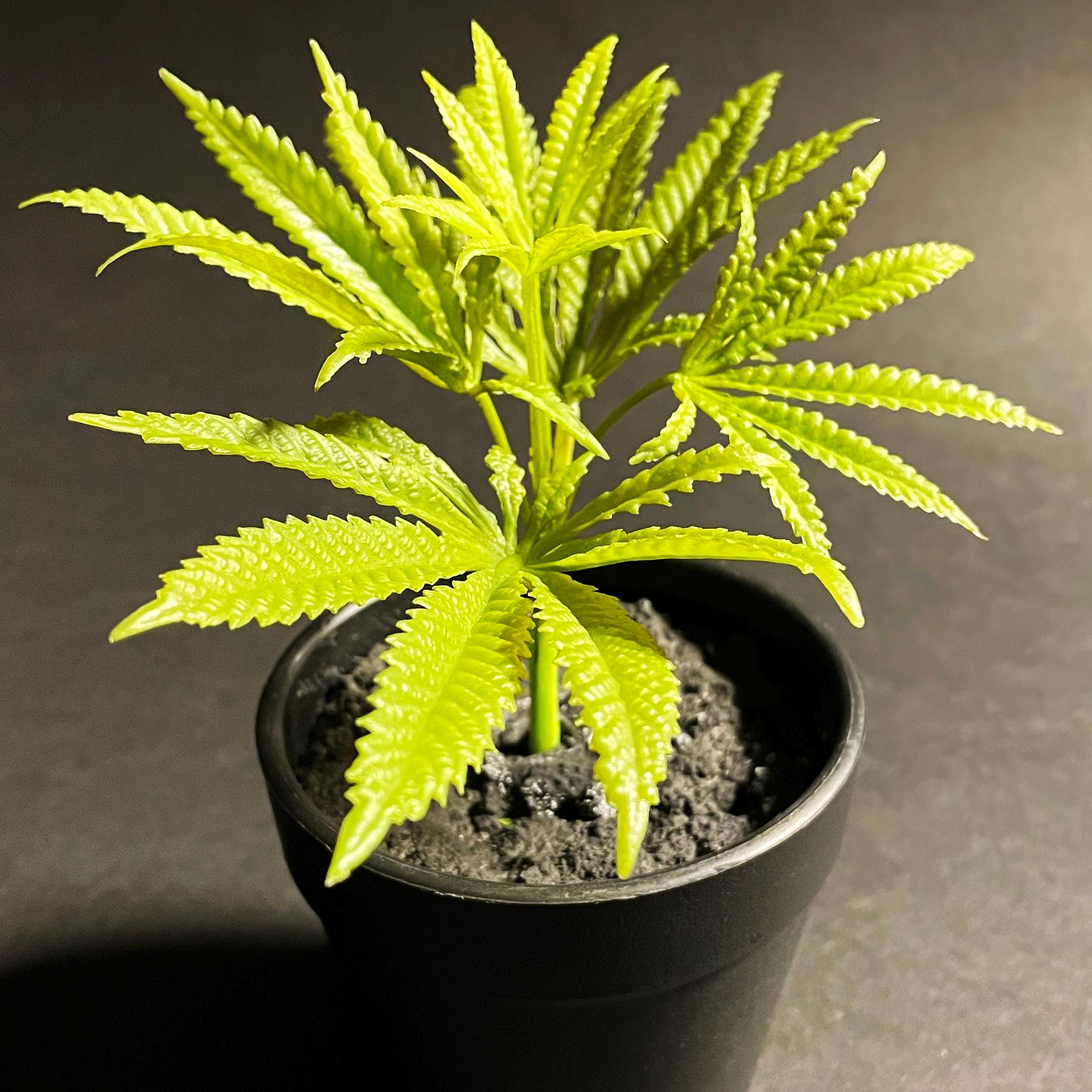 Fake marijuana plant - Etsy.de