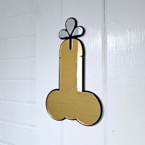 Willy Mirror Wall Art | Adult Wall Art | Penis | Todger | Knob | Cock and Balls | Dick | Dopamine Decor | Naughty | Erotica