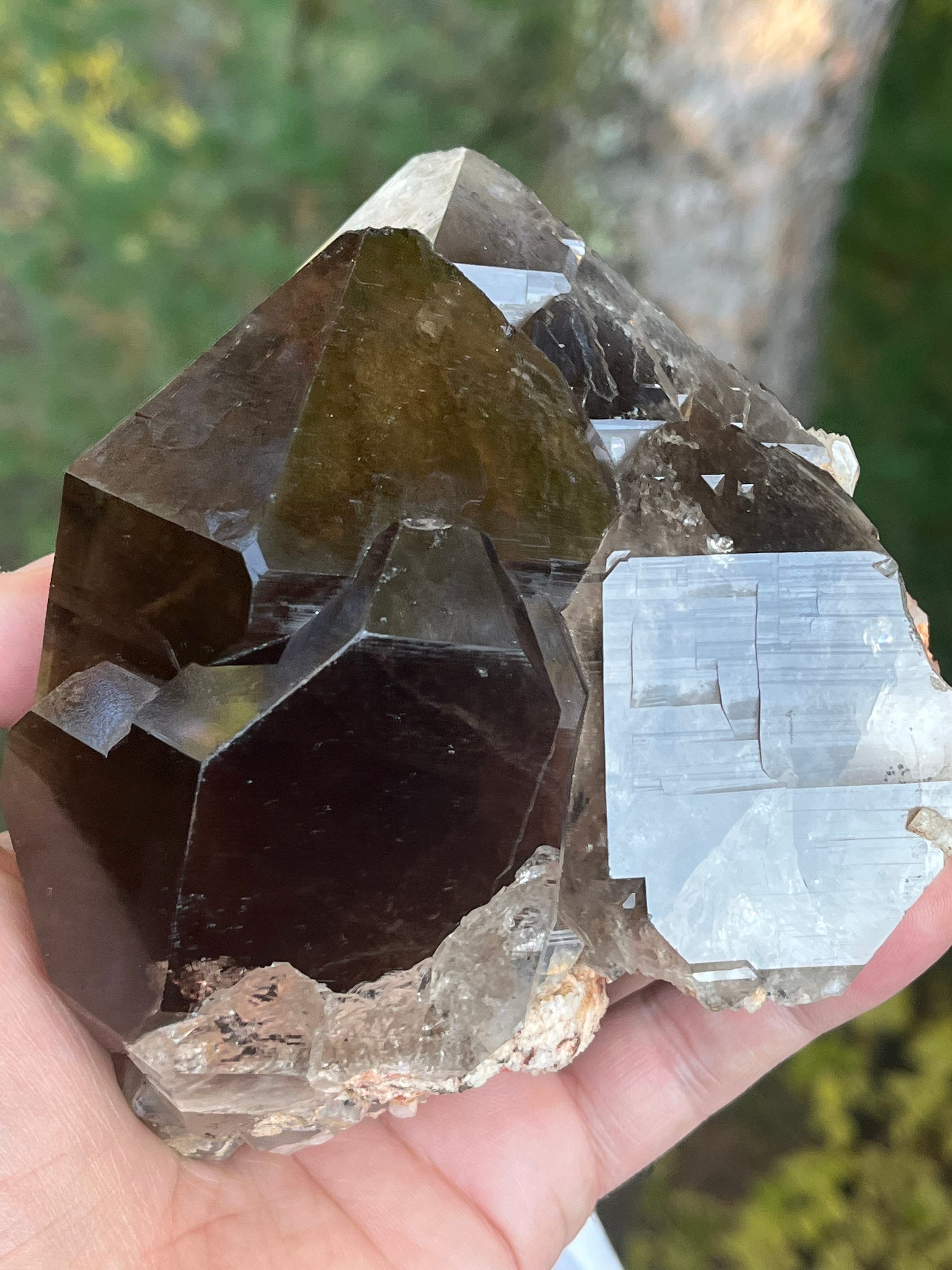 パキスタン Hunza Nagar産 スモーキークォーツ04 スモーキークォーツ / パイライト【Smoky Quartz with Pyrite