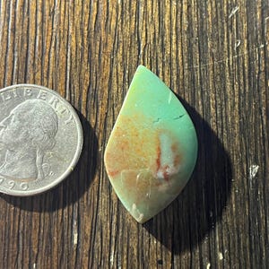 Högkvalitativt indonesiskt blåopaliserat förstenat trä, unikt 19,1 karat cabochon/utmärkt för hängen/smyckesfärdigt cabochon. Västra Java, Indonesien