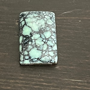 Pode incluir: Uma pedra preciosa cabochão verde e preta com um padrão de mármore.