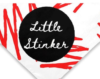 Zig Zag Little Stinker Pet Bandana