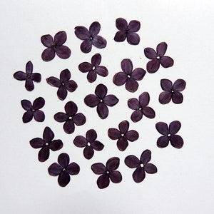 20 petites fleurs lilas violettes , fleurs séchées pressées сomestible , pour l’artisanat, la fabrication de cartes,  scrapbooking. # 316.1