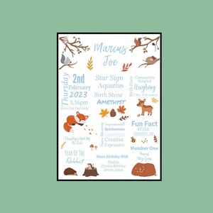 Personalised New Baby Boy Birth Details Gift | Newborn Birth Stats Print | Blue Nursery Decor | Woodland Forest | On The Day You Were Born