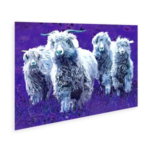 Quirky Sheep Poster