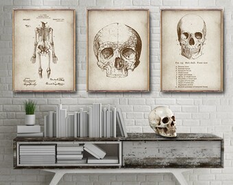 SKELETON Patent set of 3, Medical Skull posters, Anatomical Skeleton patent poster, Vintage Skull drawing prints, Medical wall art decor