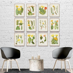 Ensemble de 12 impressions minimalistes CACTUS, affiches vintage de cactus, affiches de cactus tropicaux, décoration sur le thème de cactus, aquarelle de cactus [2a7-10a12-15-17-19]