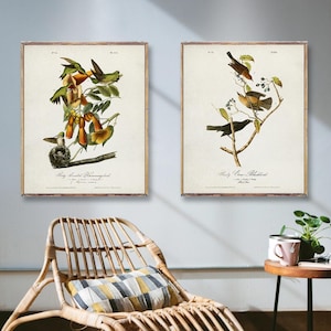May include: Two framed vintage bird prints. One print features a detailed illustration of hummingbirds and flowers, the other depicts various birds on a branch. The prints are displayed above a wicker chair and a small side table.