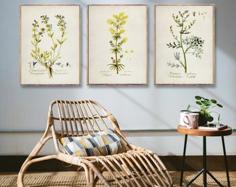 BOTANICAL Vintage poster set of 3, Vintage flower 3 print set, Vintage Botanical prints, Artemisia poster, yellow wall art trend [22 b-24-28