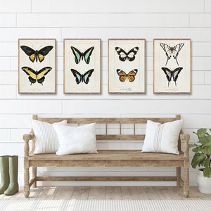 SPECIAL DEAL 50% OFF, A4, Butterfly 4 poster set, Vintage Butterfly illustration prints, Butterfly wall decor, Butterfly poster art [1a3-19]